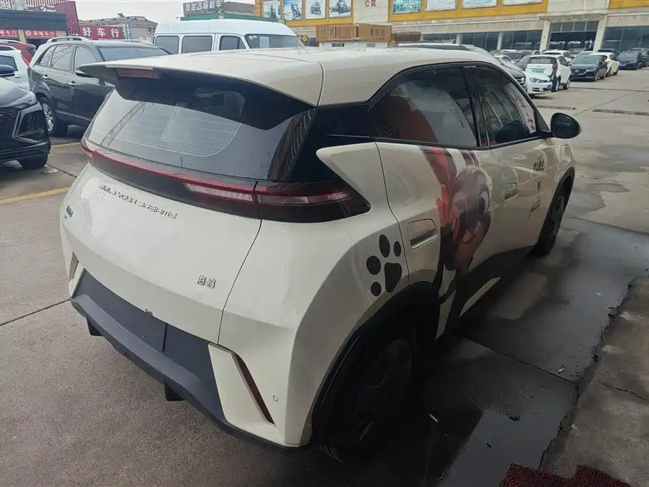 BYD Seagull 2024 Glory Edition 305km Vitality Edition фото 3
