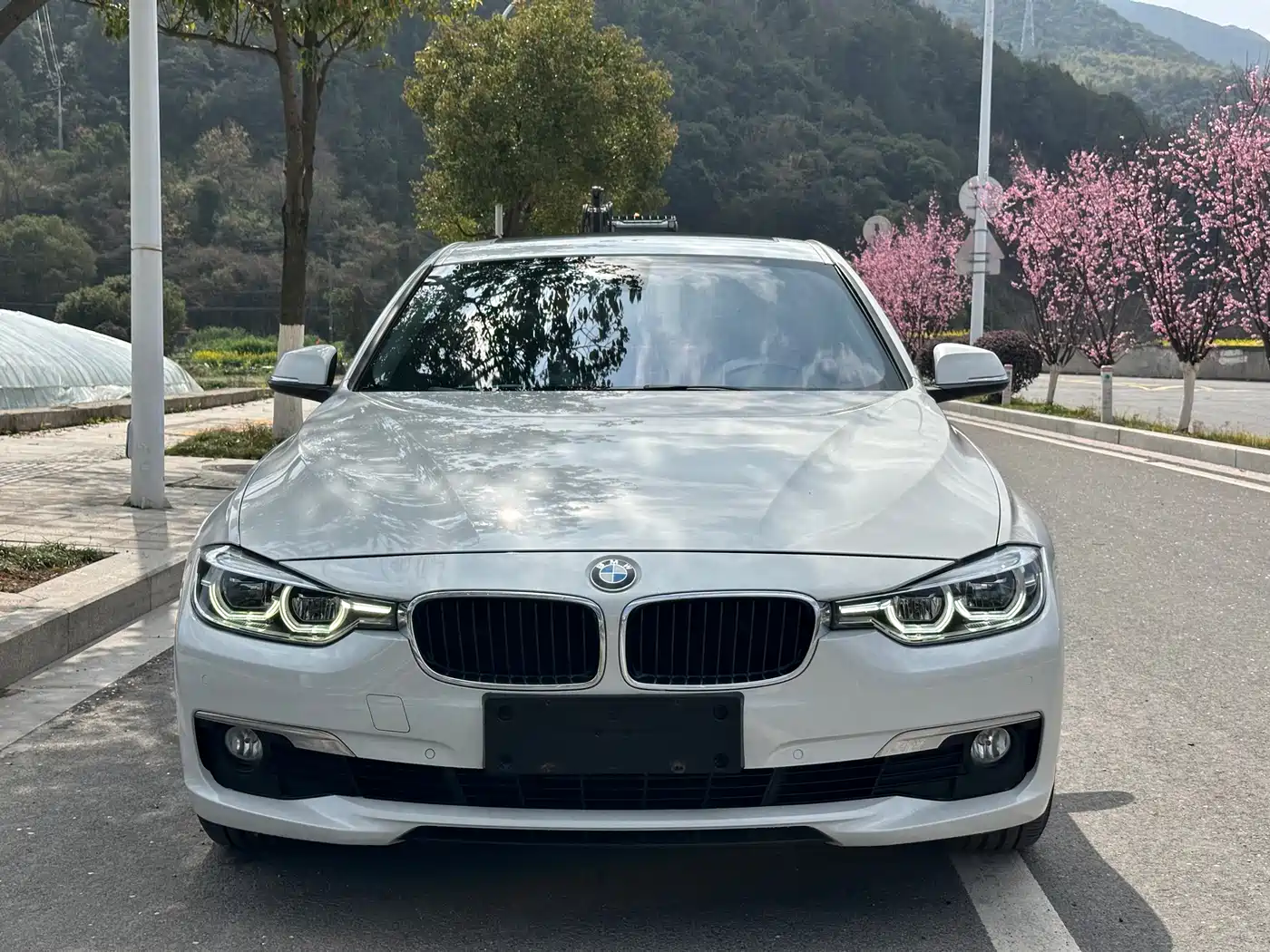 BMW 3 Series 2017 320Li Fashion фото 2