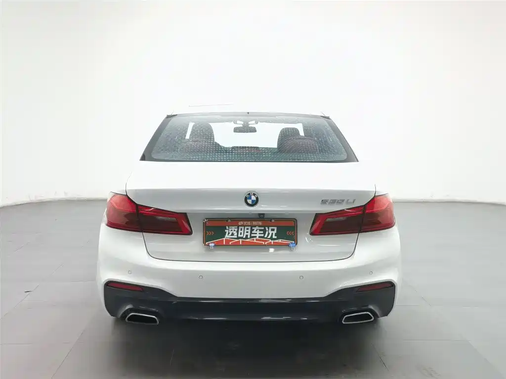 BMW 5 Series 2020 530Li Leading M Sport Package фото 4