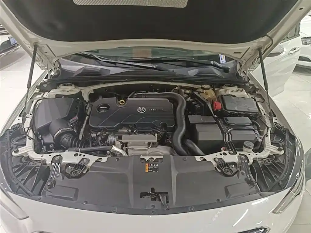Buick Regal 2017 20T Elite Type фото 20