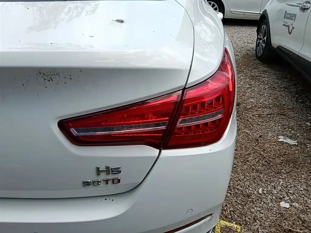 Hongqi H5 2018 30TD Dynamic Edition фото 8