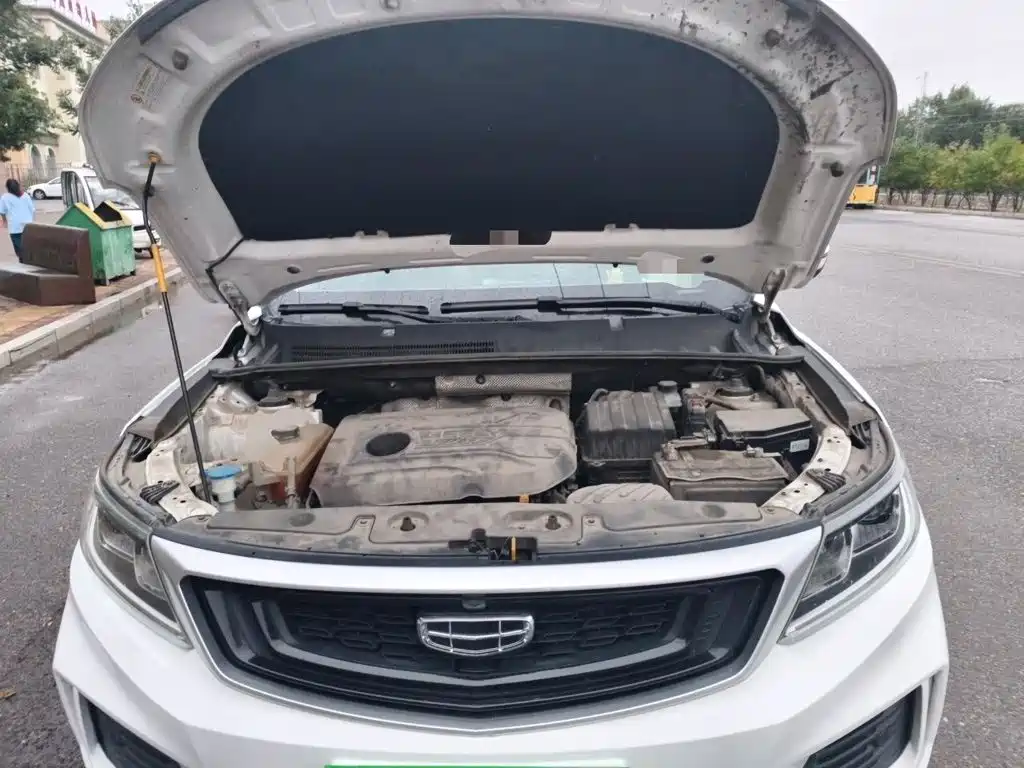 Фото 21 - Geely Emgrand X6