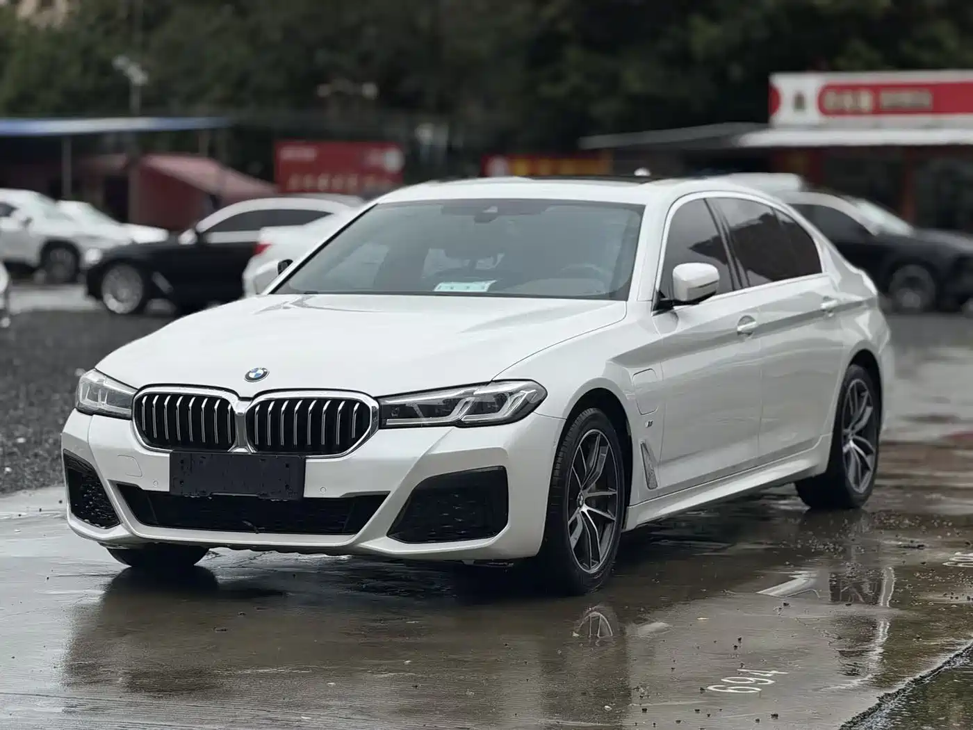 BMW 5 Series New Energy 2021