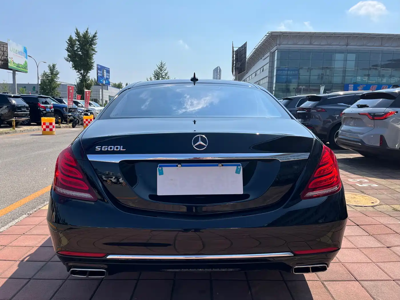 Mercedes-Benz S-Class 2014 S 600 L фото 5