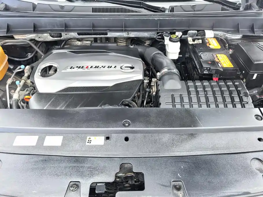 GAC Trumpchi Trumpchi GS8 2017 320T 2WD Luxury Smart Connect (7-seater) фото 10