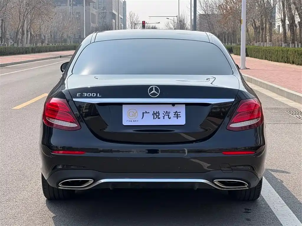 Mercedes-Benz E-Class 2017 E 200 L 4MATIC фото 8
