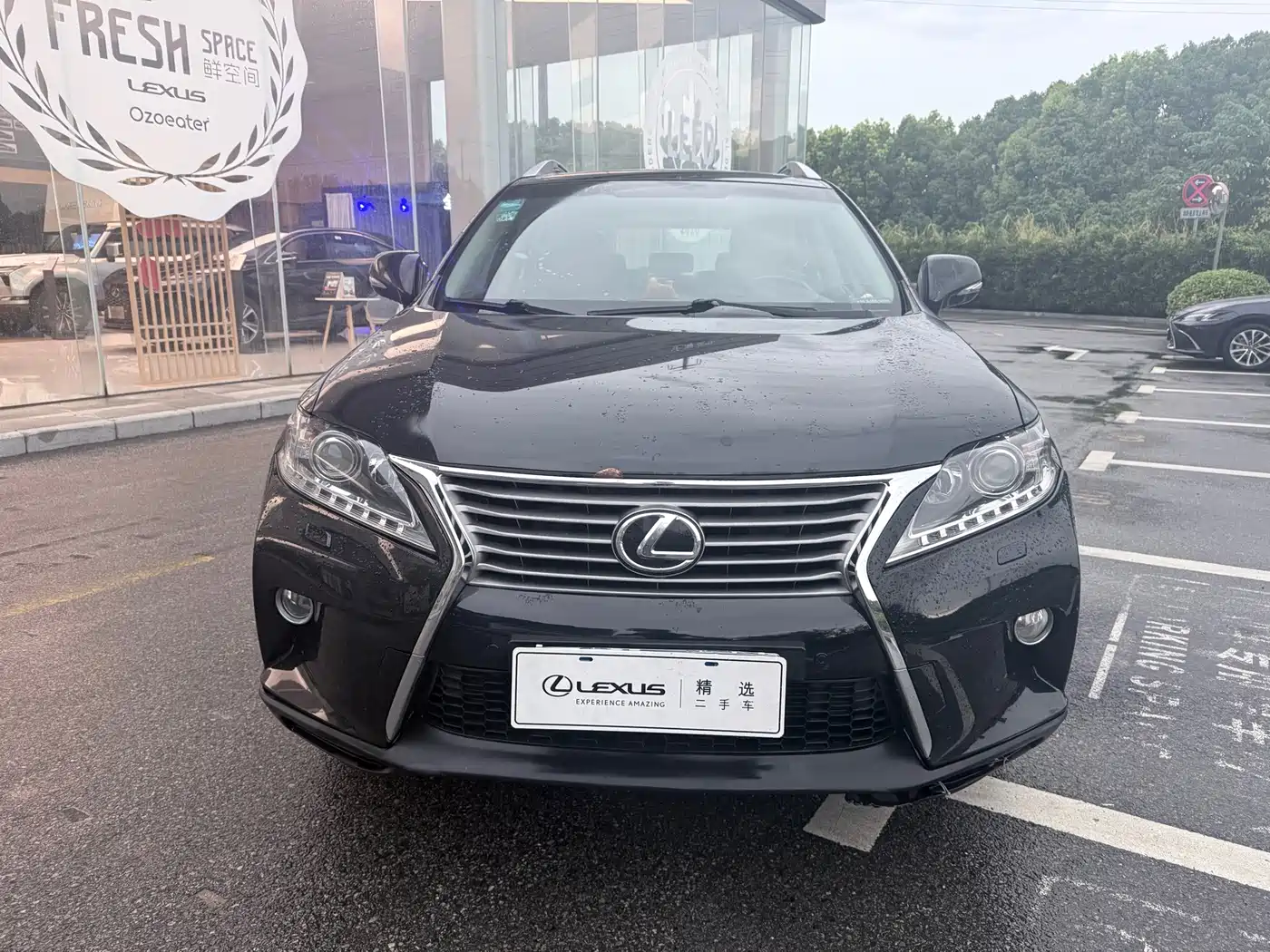 Lexus RX Classic 2014 2013 270 Elite