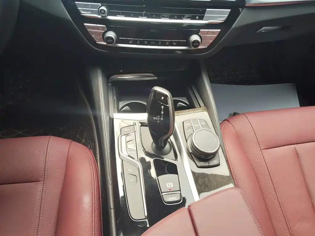 BMW 5 Series 2020 530Li Leading M Sport Package фото 14