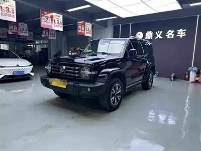 Tank 300