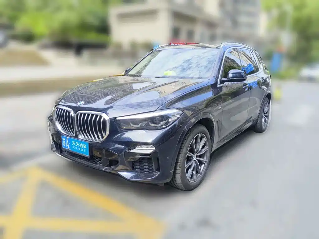 BMW X5 (Import) 2021 Facelift xDrive30i M Sport Package