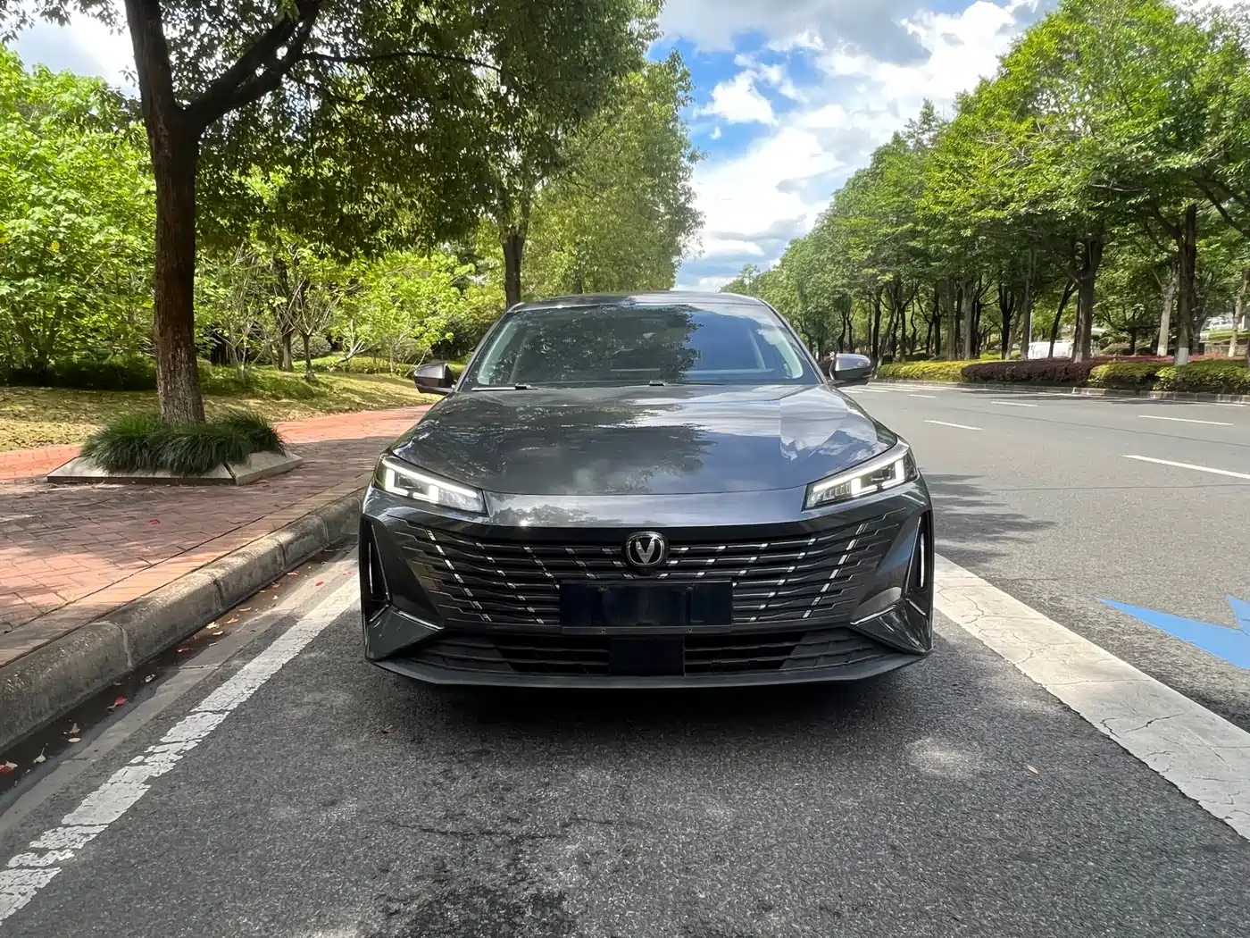 Фото 2 - Changan Eado