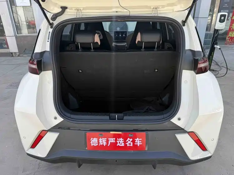 BYD Seagull 2023 Vitality Edition фото 9