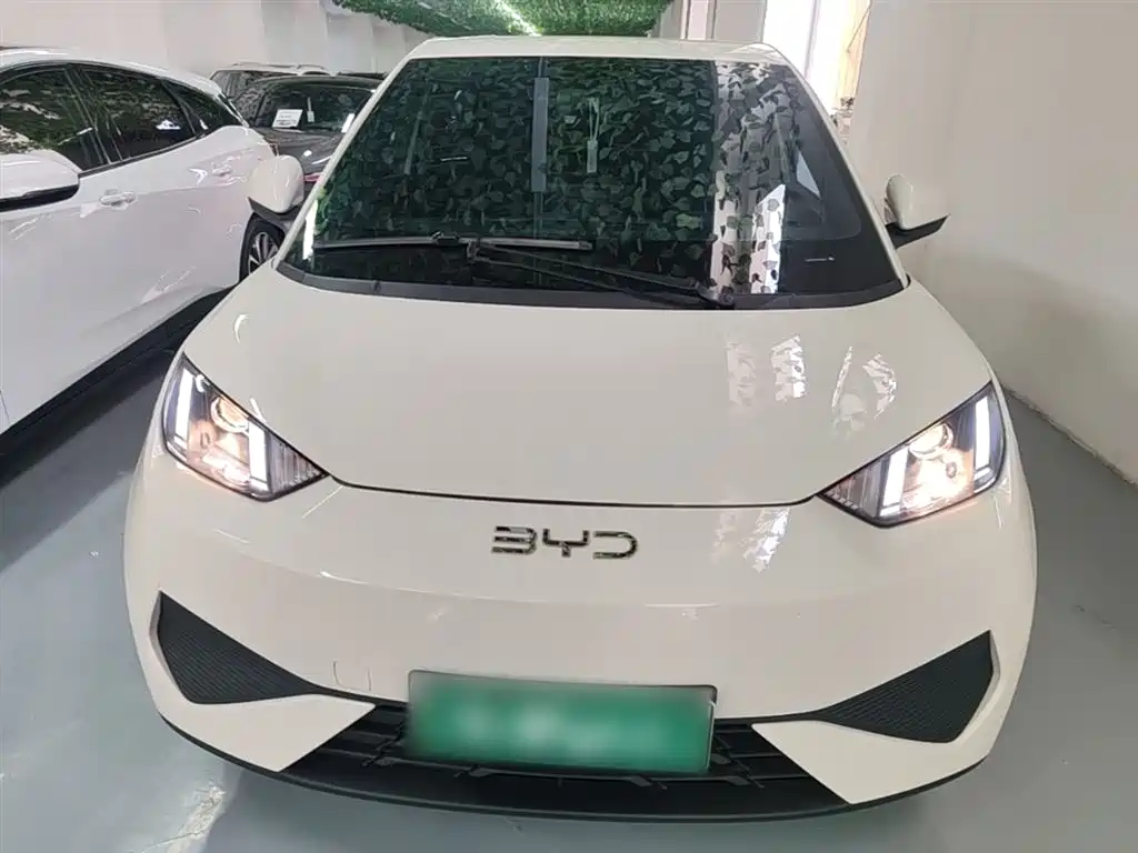 BYD Seagull 2025 Smart Drive Edition 305km Vitality Version фото 3