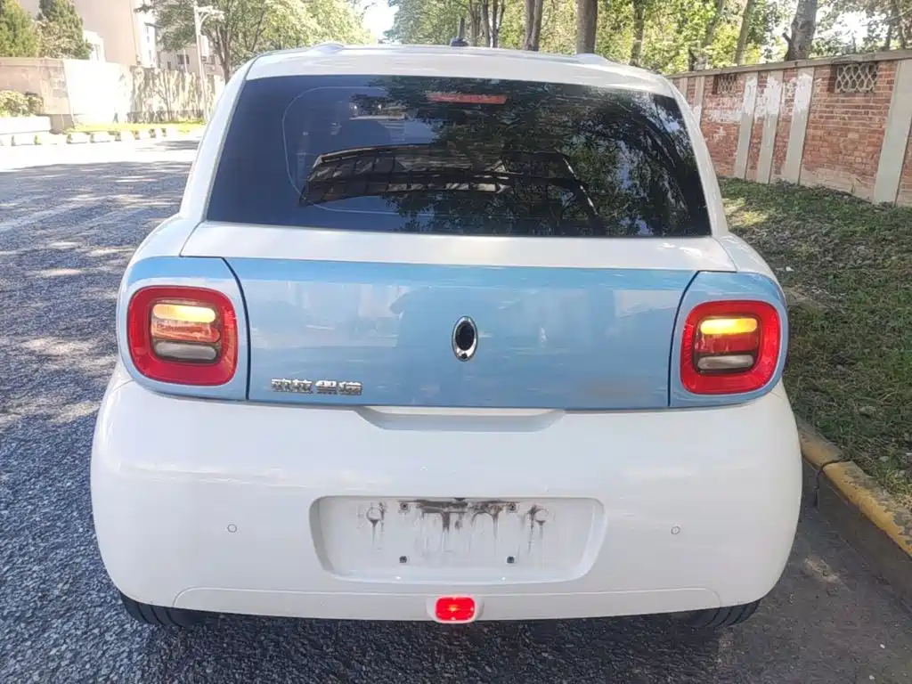 Ora Black Cat 2021 2021 351km Standard Model