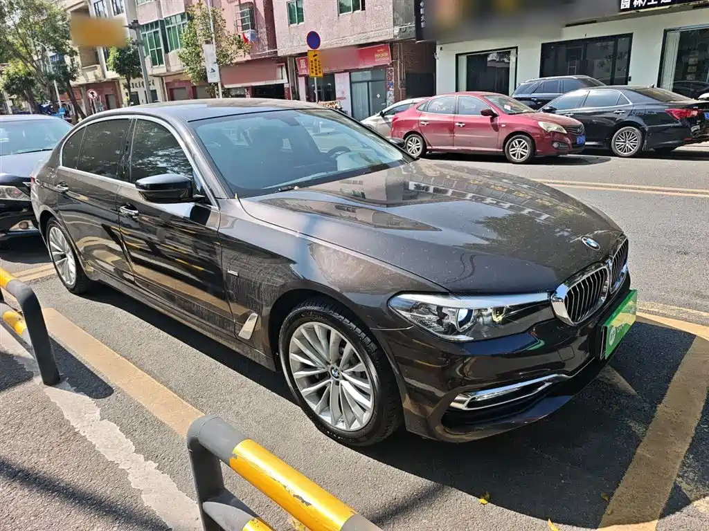 BMW 5 Series 2018 530Li Leading Luxury Package фото 22