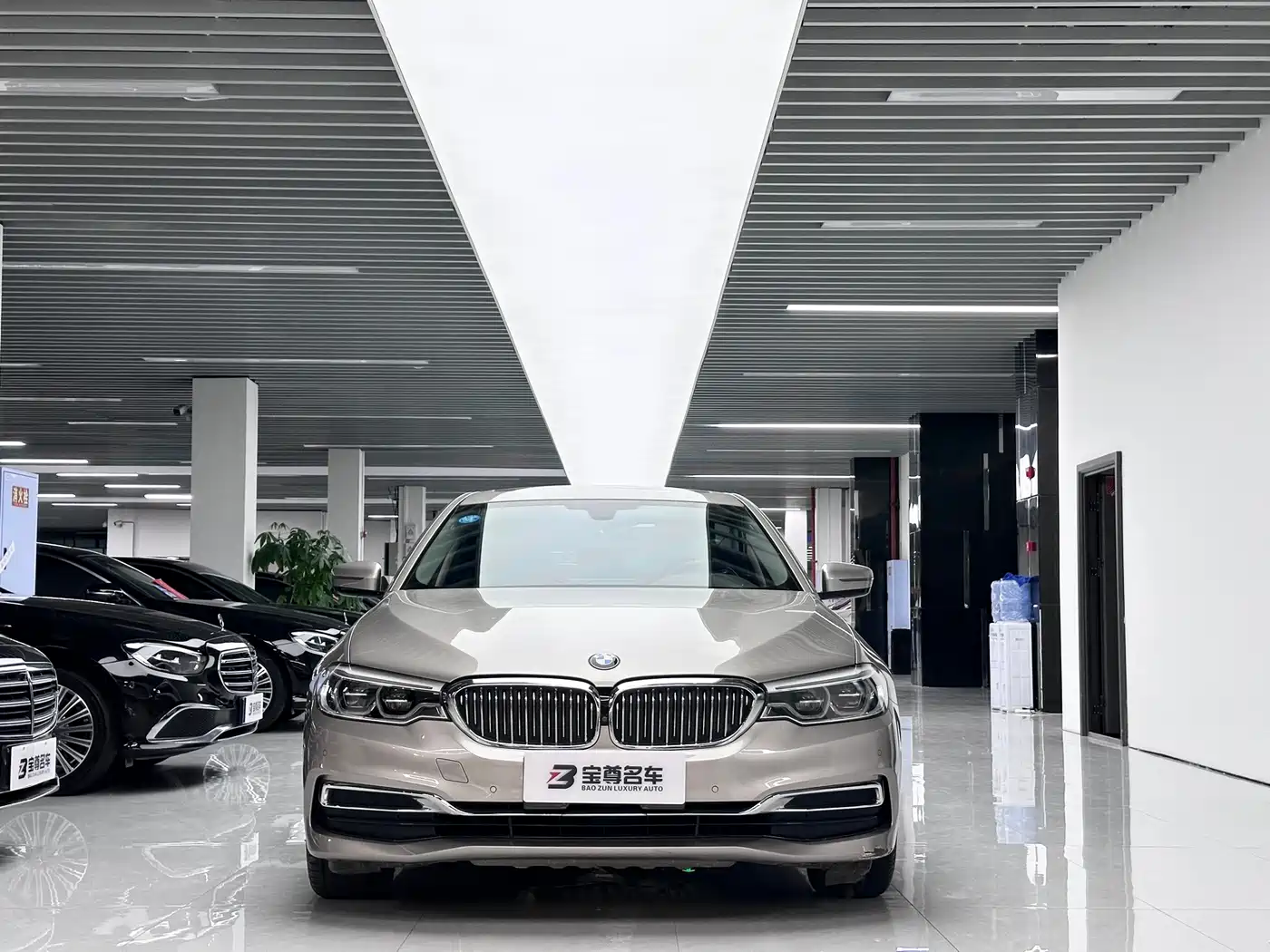 BMW 5 Series 2020 530Li Leading Luxury Package фото 2