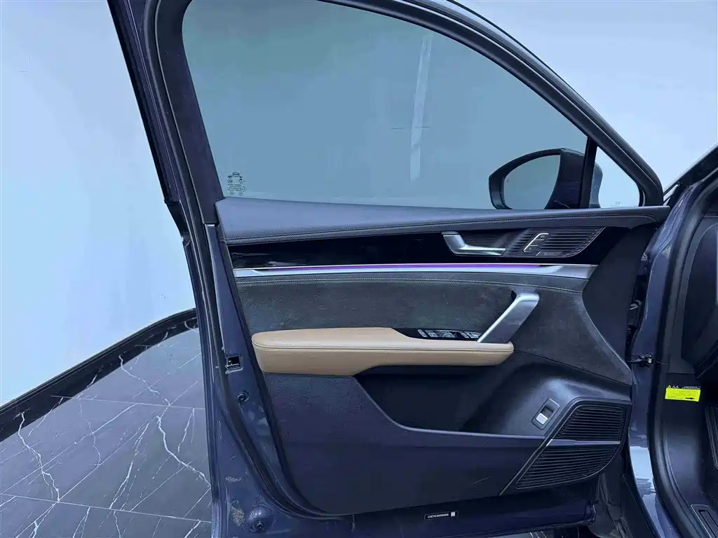 BYD Tang New Energy 2021 DM-i 112KM Honor фото 17