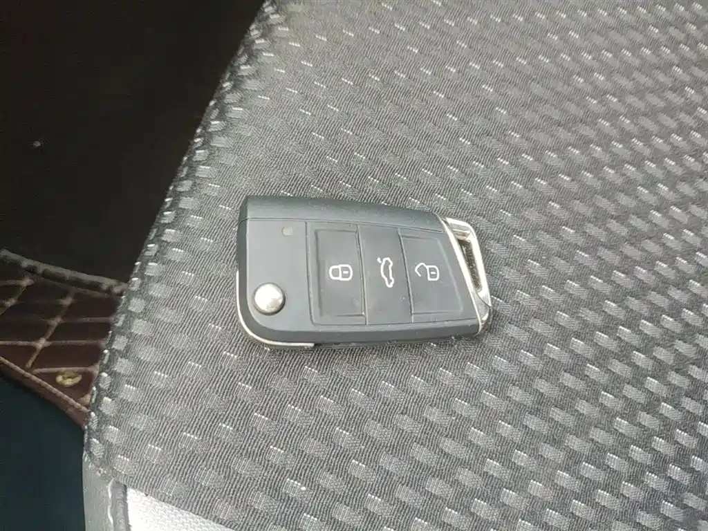 Volkswagen Tanying 2021 1.5L Automatic Smart Connect Edition фото 9
