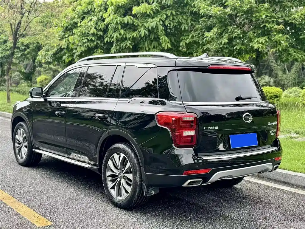 GAC Trumpchi Trumpchi GS8 2017 320T 2WD Luxury Smart Connect (7-seater) фото 7