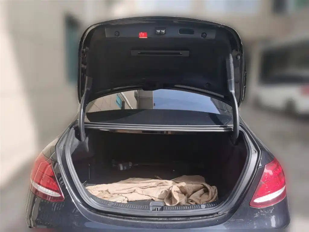 Mercedes-Benz E-Class 2019 Facelift E 300 L Fashion фото 10