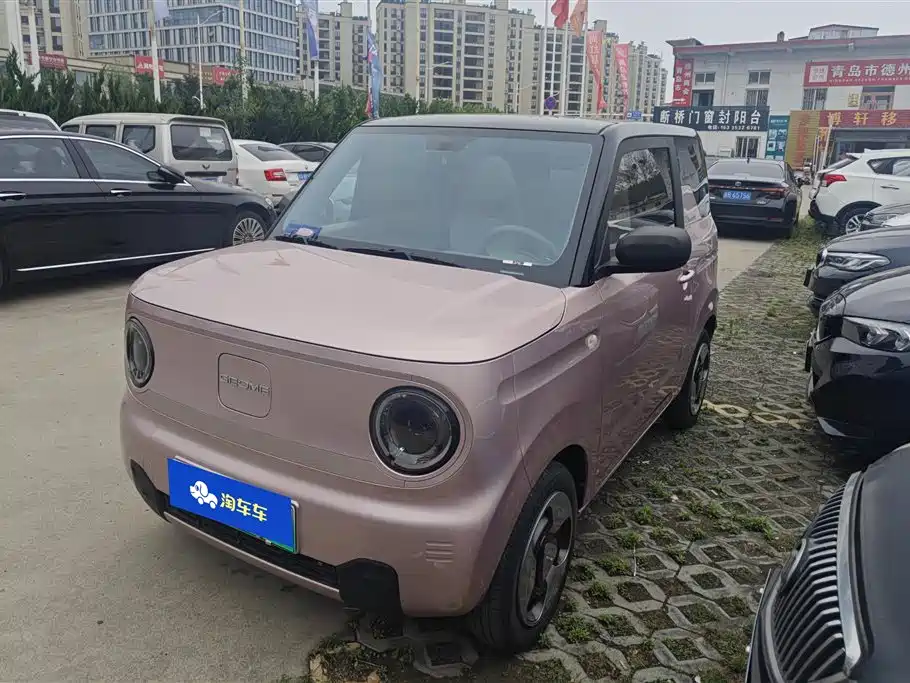 Geely Galaxy Panda 2023 Panda Mini 200km Lively Bear