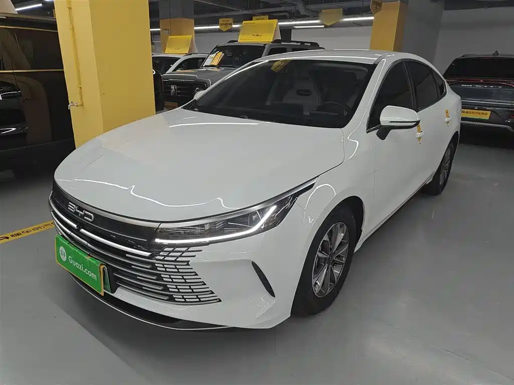 BYD Destroyer 05 2024 Glory Edition DM-i 55KM Luxury