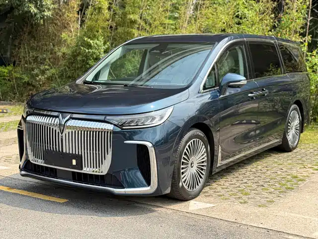 Voyah Auto Voyah Dreamer 2025