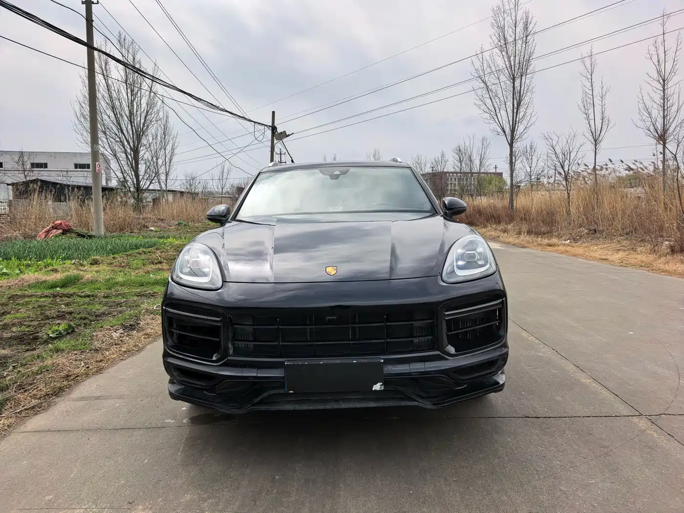 PORSCHE CAYENNE NEW ENERGY