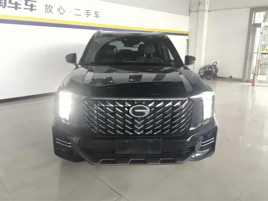 GAC Trumpchi Trumpchi GS8 2024 Navigator Series 2.0TGDI 2WD Luxury Smart Connect Edition фото 2