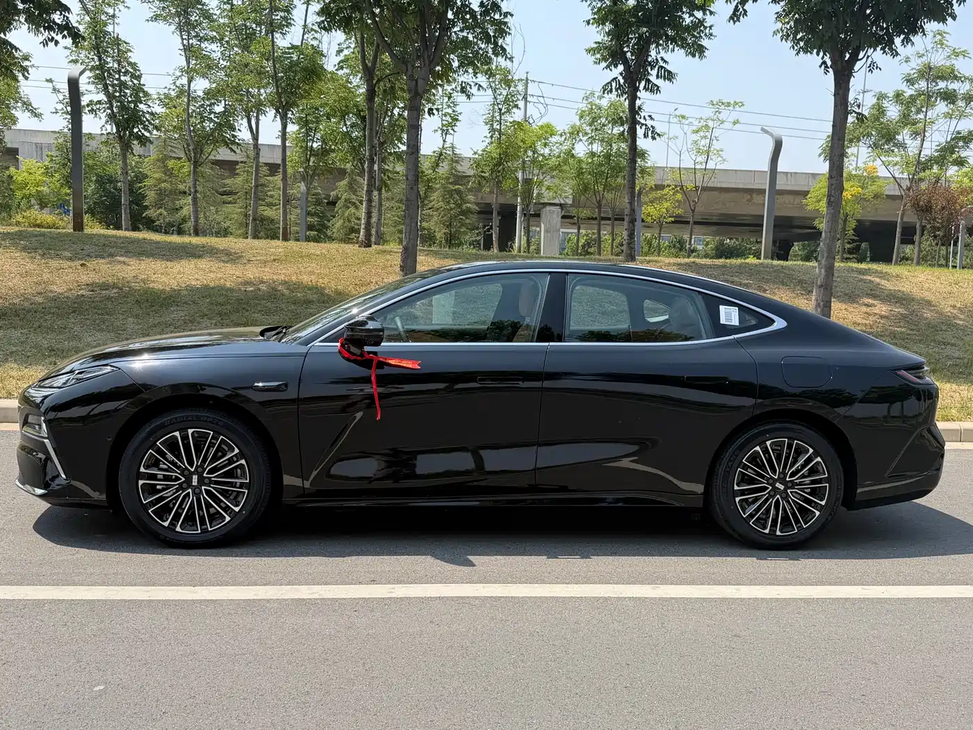 Geely Galaxy Galaxy Xingyao 8 2026 2025 130km EM-i Premium Edition