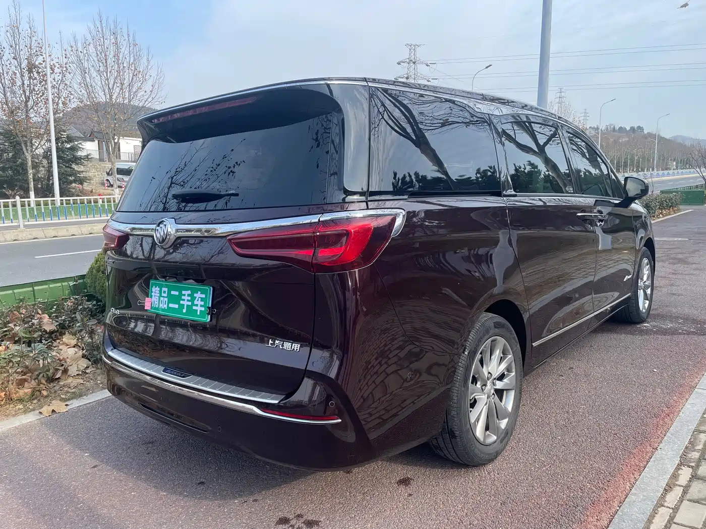 Buick GL8 2020 Avenir Six-Seat Elegance Edition фото 4