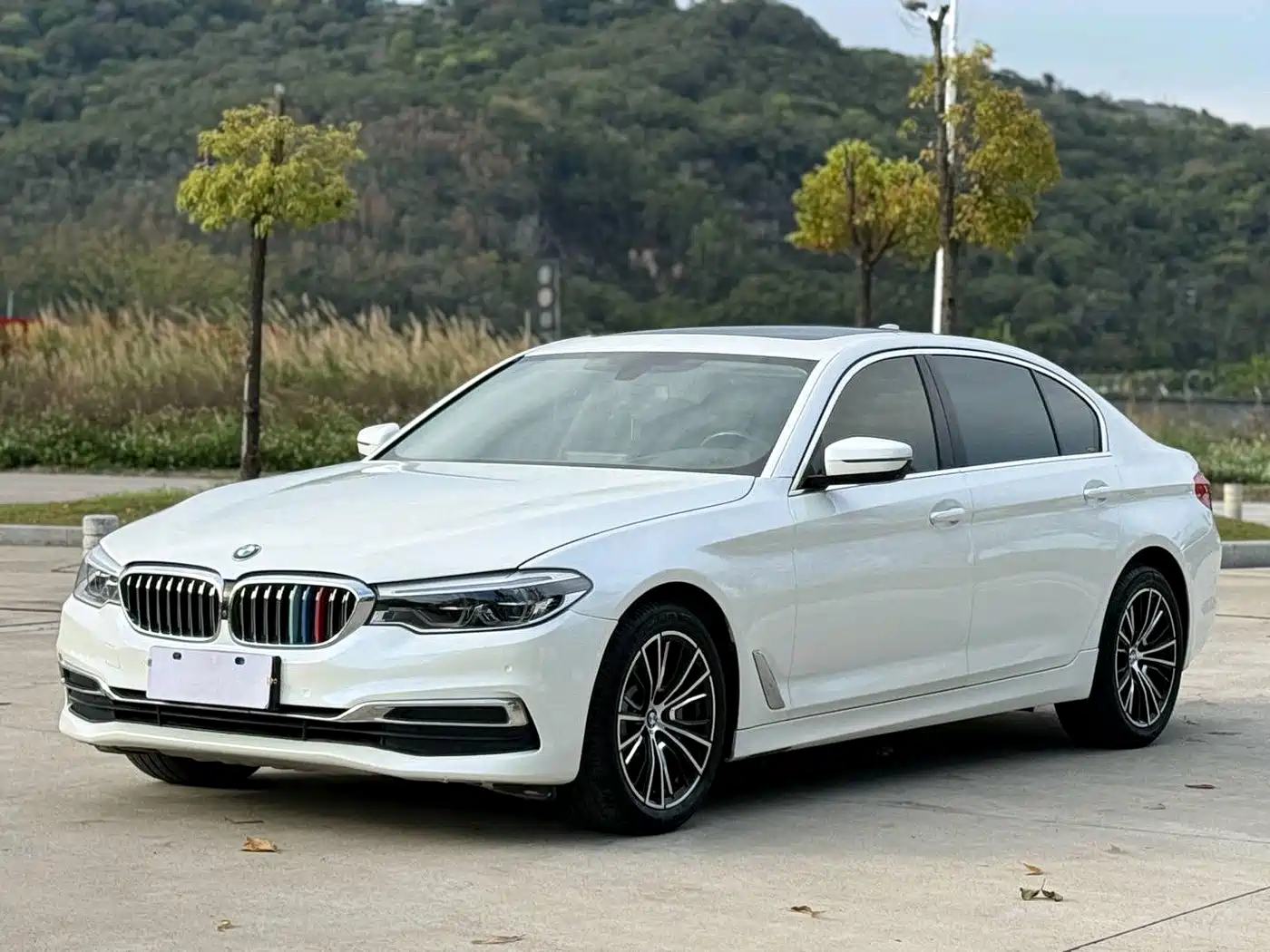 BMW 5 Series 2020 530Li Premium Luxury Package