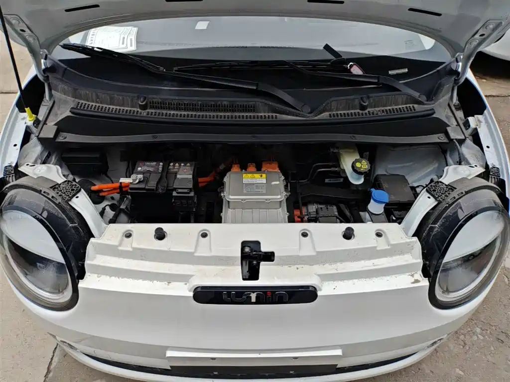 Changan Qiyuan Changan Lumin 2026 2026 Model Treasure Edition 205km Sweet Rice Guoxuan