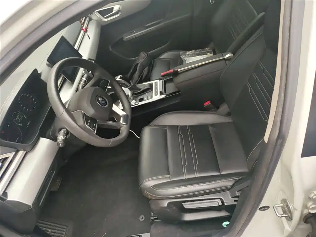 BYD Qin 2019 1.5L Automatic Luxury Edition фото 15