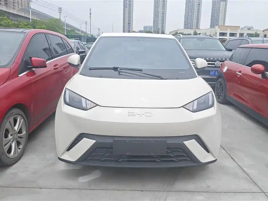 BYD Seagull 2024 Glory Edition 305km Vitality Edition фото 2
