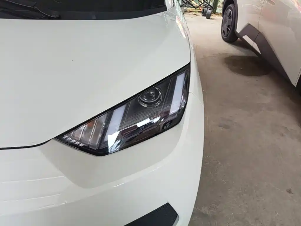 BYD Seagull 2026 2025 Smart Drive Edition 305km Vitality Version