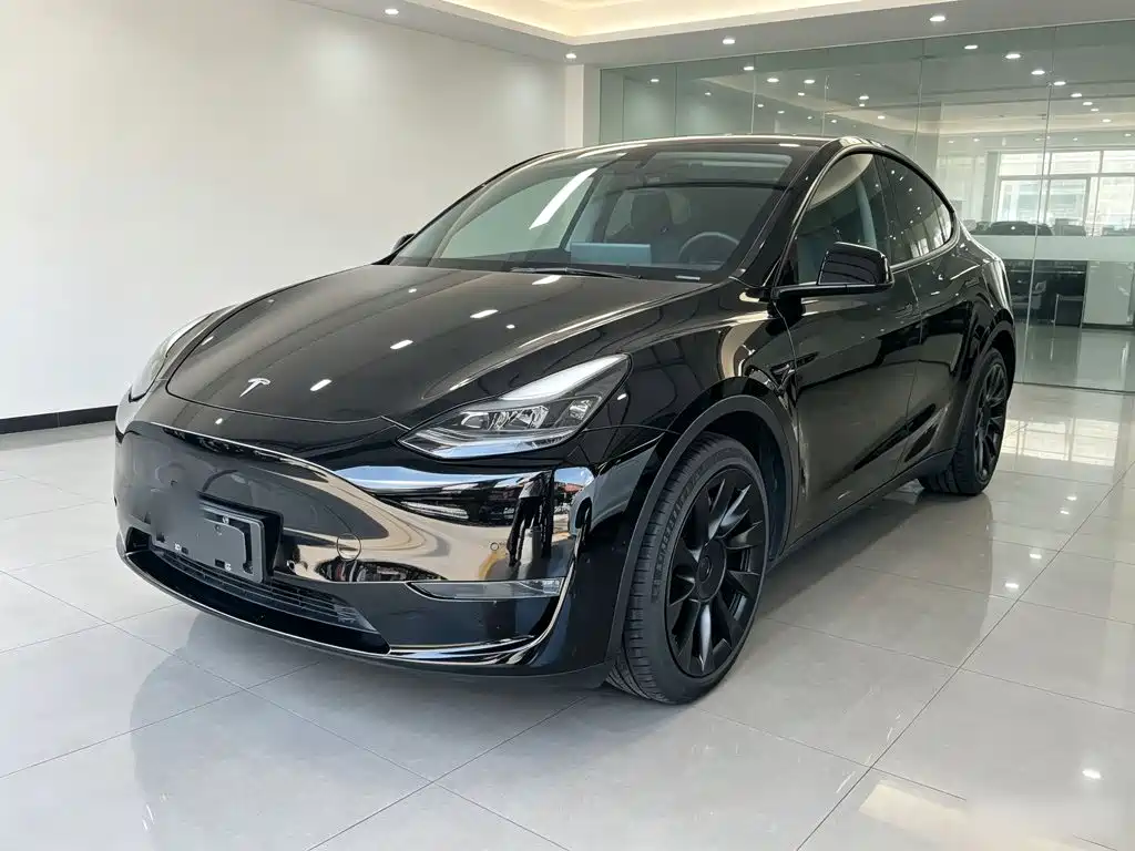 Tesla Model Y 2021 Standard Range Rear-Wheel Drive