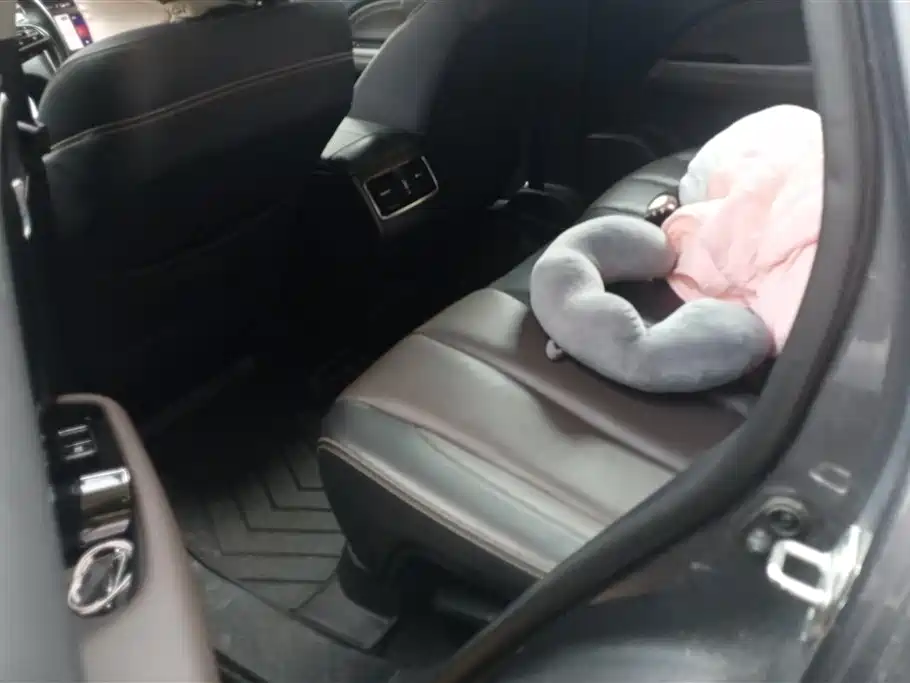 GAC Trumpchi Trumpchi GS5 2019 270T Automatic Luxury фото 11