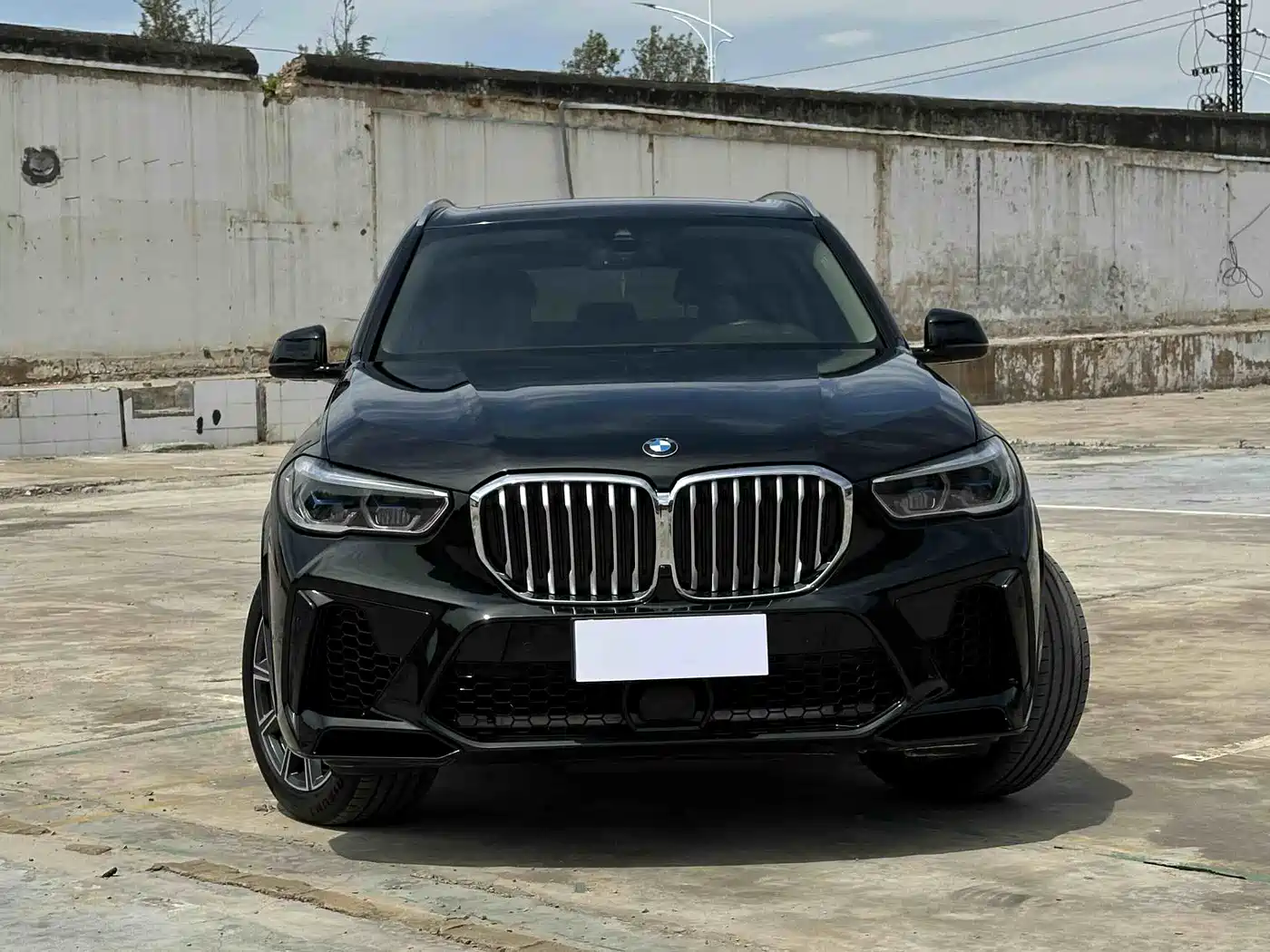 BMW X5 (Import) 2019 xDrive40i M Sport Package фото 2