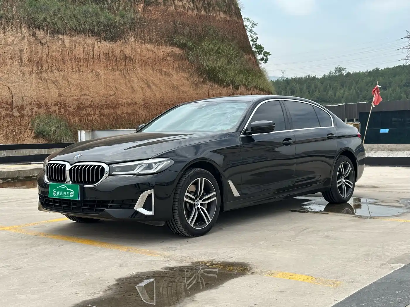 BMW 5 Series 2021 530Li Leading Luxury Package