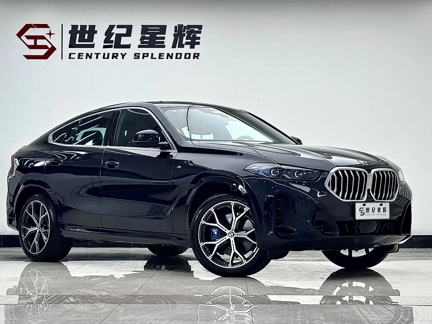 BMW X6 2023 xDrive40i Premium M Sport Package фото 2