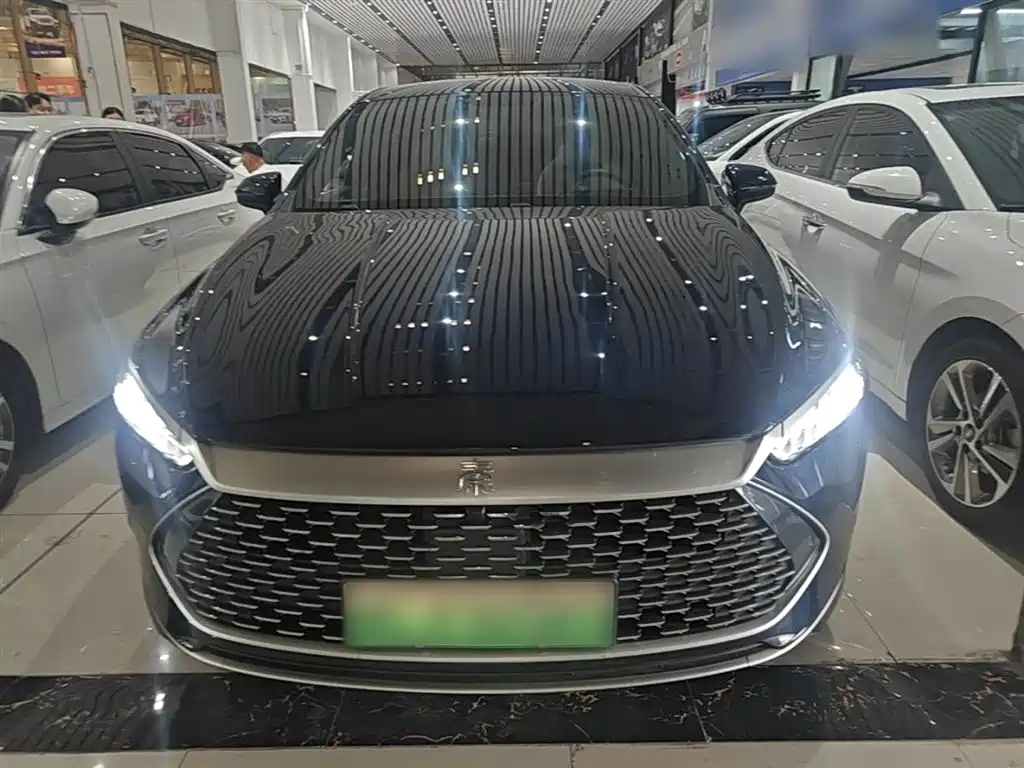 BYD Qin PLUS 2024 Glory Edition DM-i 55KM Leading фото 3