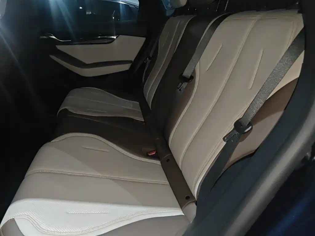 BYD Qin PLUS 2024 Glory Edition DM-i 55KM Leading фото 17