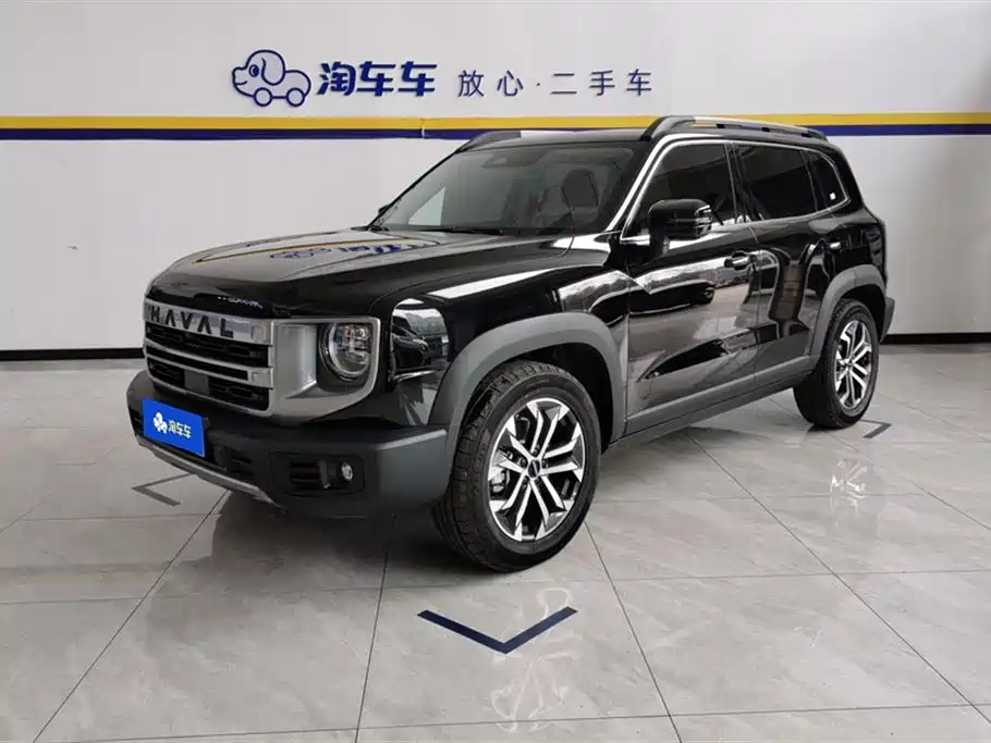 Haval Big Dog 2024 1.5T DCT Border Collie Edition
