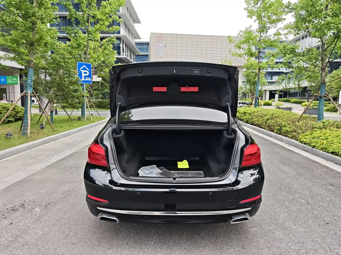 BMW 5 Series 2018 Facelift 530Li Exclusive Luxury Package фото 7