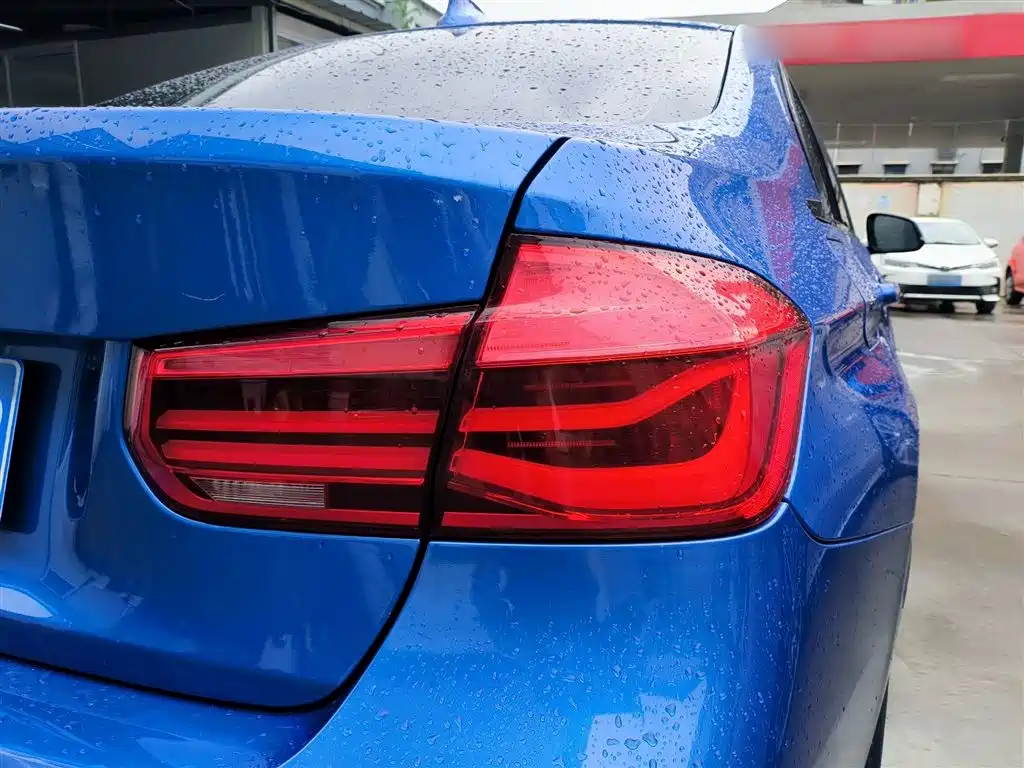 BMW 3 Series 2019 320Li M Sport Package фото 18