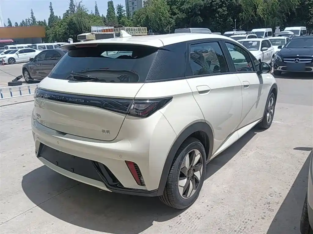 BYD Dolphin 2024 Glory Edition 420km Freedom Edition фото 7
