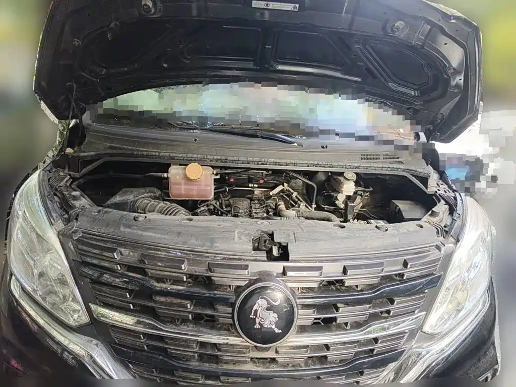 2024 Dongfeng Fengxing Lingzhi PLUS