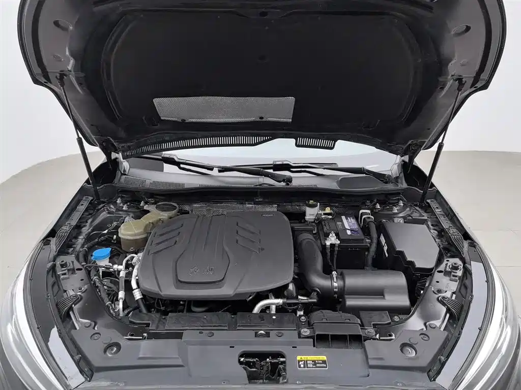 Hongqi H5 2020 1.8T Automatic Smart Connection Qi Enjoy Edition фото 6