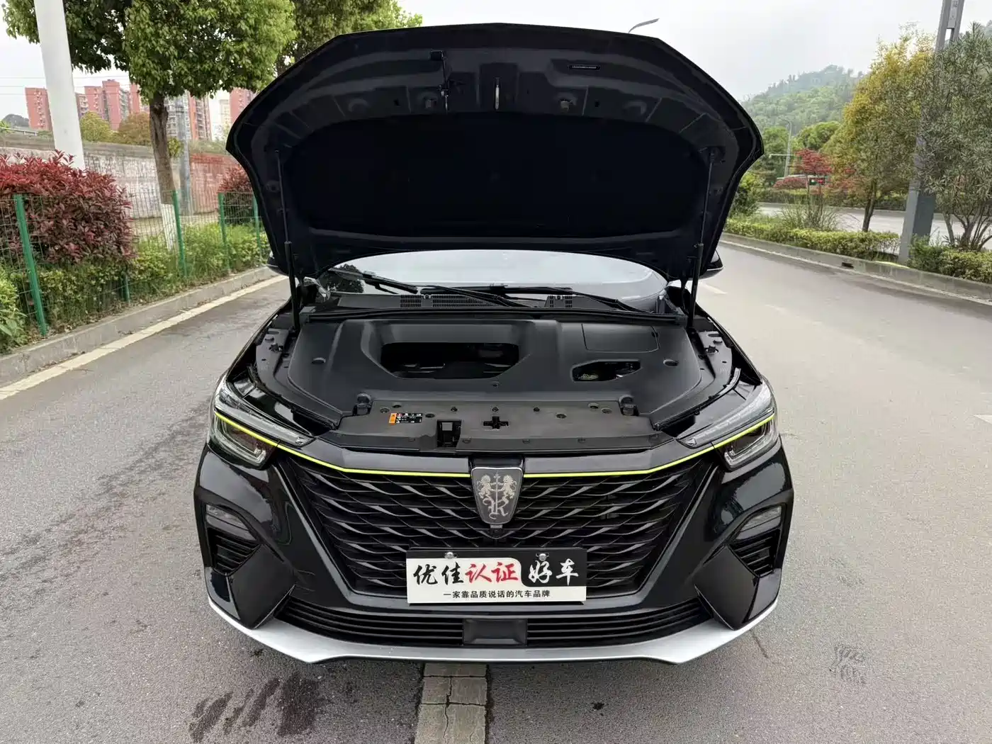 ROEWE RX5
